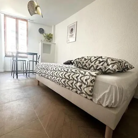 Appartement Tres Grand A Deux Pas De La Place De Jaude Puits Artesien *